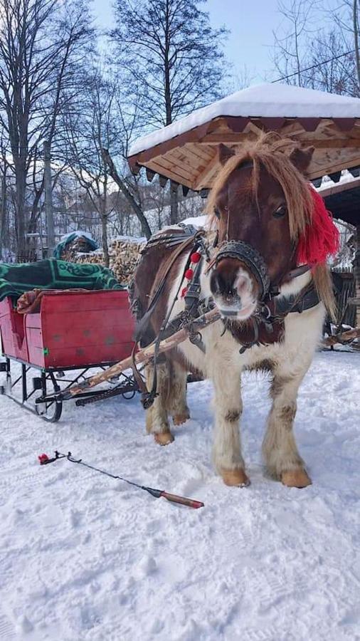 Casa Calea Haiducilor Sohodol  Dış mekan fotoğraf