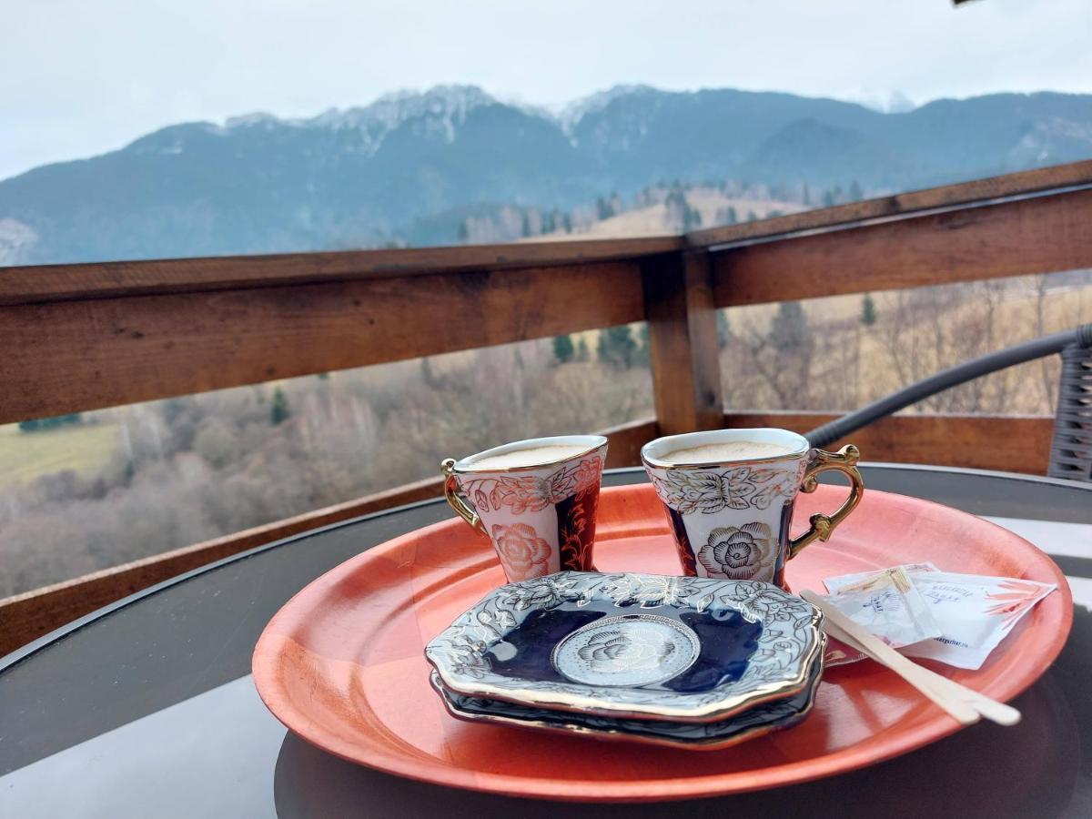 Casa Calea Haiducilor Sohodol  Dış mekan fotoğraf