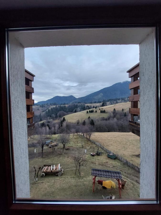 Casa Calea Haiducilor Sohodol  Dış mekan fotoğraf
