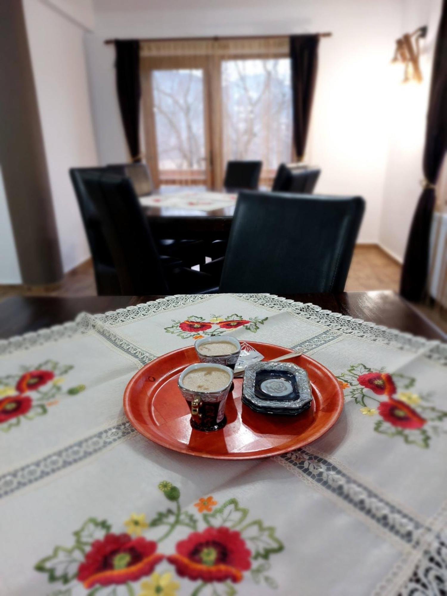 Casa Calea Haiducilor Sohodol  Dış mekan fotoğraf