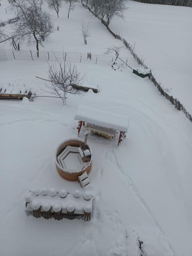 Casa Calea Haiducilor Sohodol  Dış mekan fotoğraf