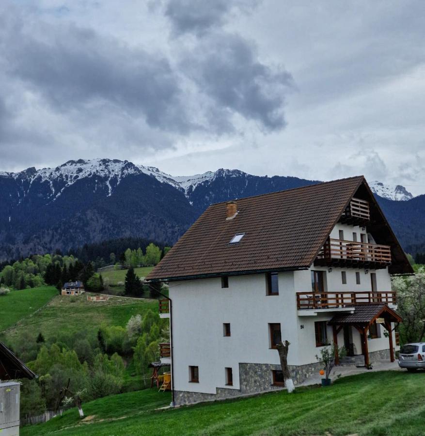 Casa Calea Haiducilor Sohodol  Dış mekan fotoğraf